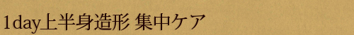 1DAY上半身造形集中ケア