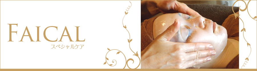 �t�F�C�V�����@�X�y�V�����|�C���g�P�A