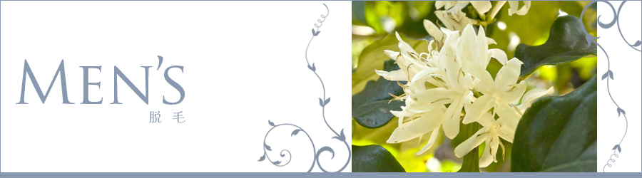 Men's�@�E�сi���сj